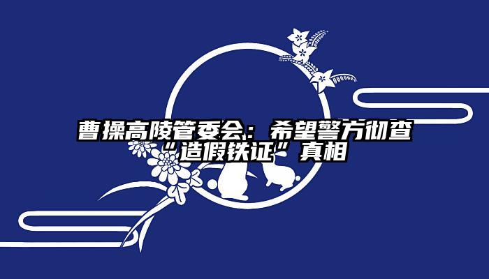 曹操高陵管委会：希望警方彻查“造假铁证”真相