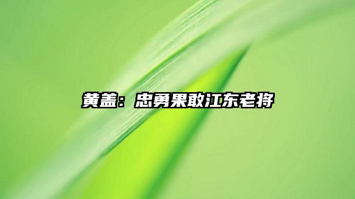 黄盖：忠勇果敢江东老将