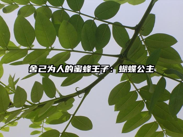 舍己为人的蜜蜂王子：蝴蝶公主