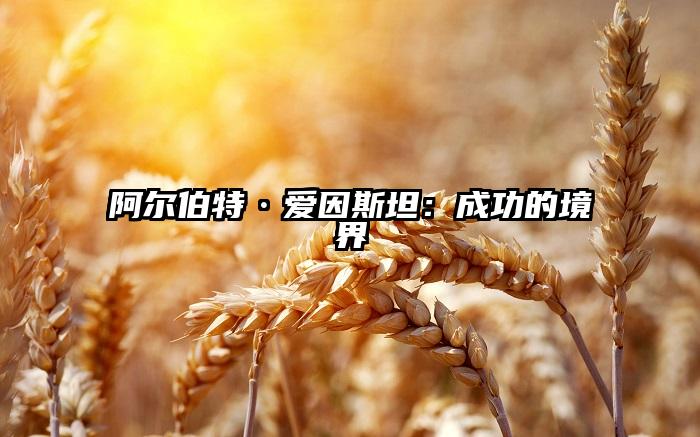 阿尔伯特·爱因斯坦：成功的境界