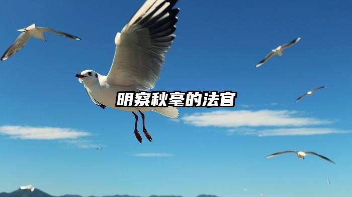 明察秋毫的法官