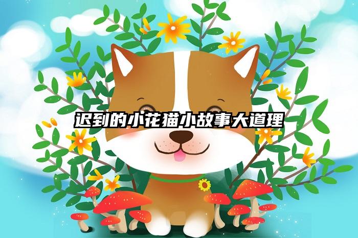 迟到的小花猫小故事大道理