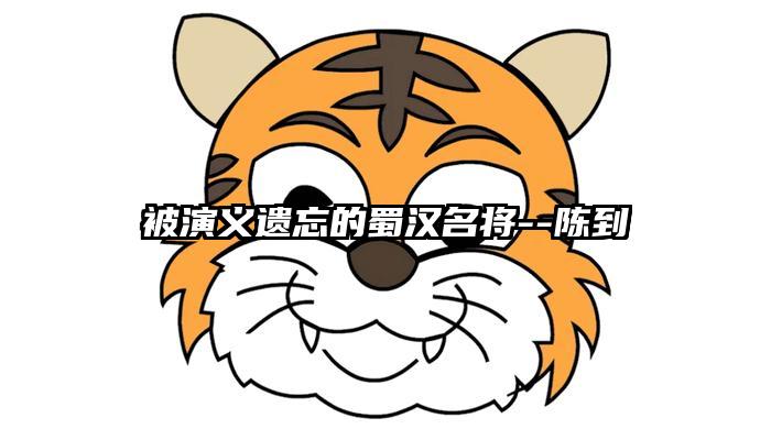 被演义遗忘的蜀汉名将--陈到