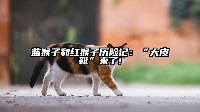 蓝猴子和红猴子历险记：“大皮靴”来了!