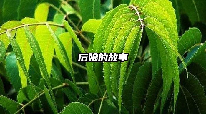 后娘的故事