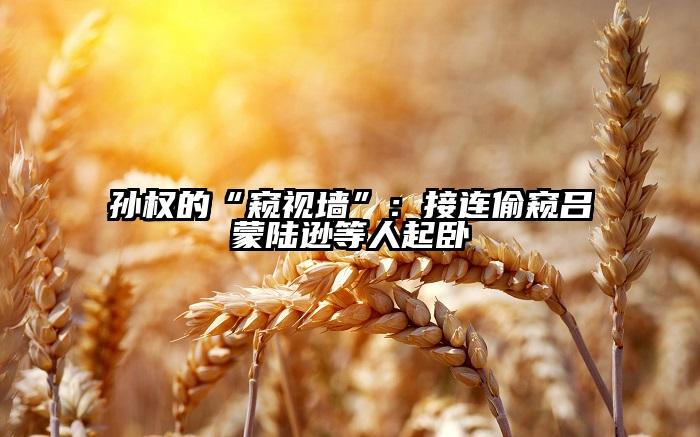 孙权的“窥视墙”：接连偷窥吕蒙陆逊等人起卧