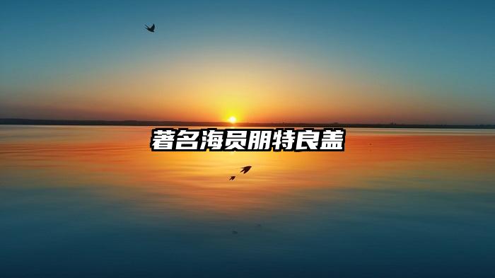 著名海员朋特良盖