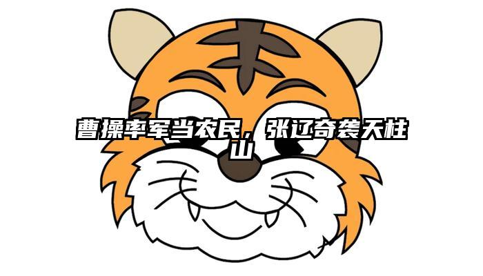 曹操率军当农民，张辽奇袭天柱山