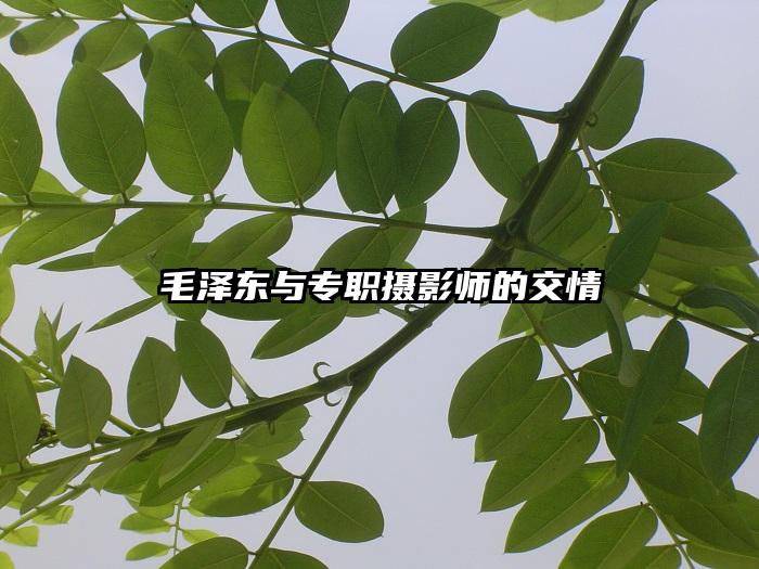 毛泽东与专职摄影师的交情