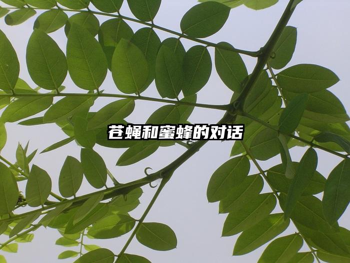 苍蝇和蜜蜂的对话