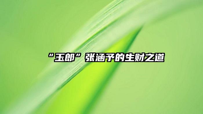 “玉郎”张涵予的生财之道