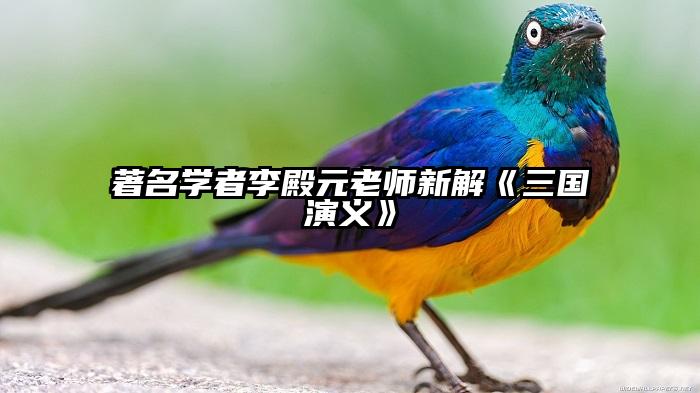 著名学者李殿元老师新解《三国演义》