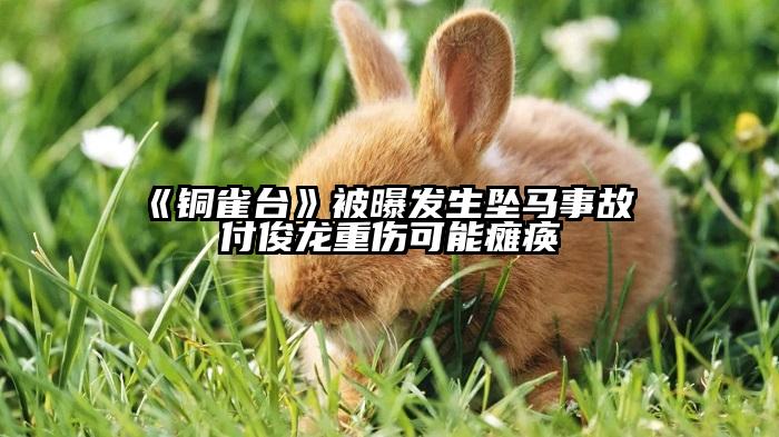 《铜雀台》被曝发生坠马事故 付俊龙重伤可能瘫痪