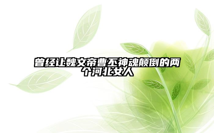 曾经让魏文帝曹丕神魂颠倒的两个河北女人