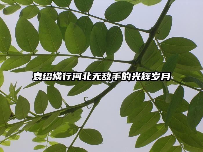 袁绍横行河北无敌手的光辉岁月