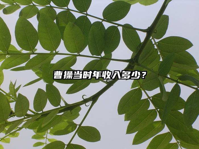 曹操当时年收入多少？