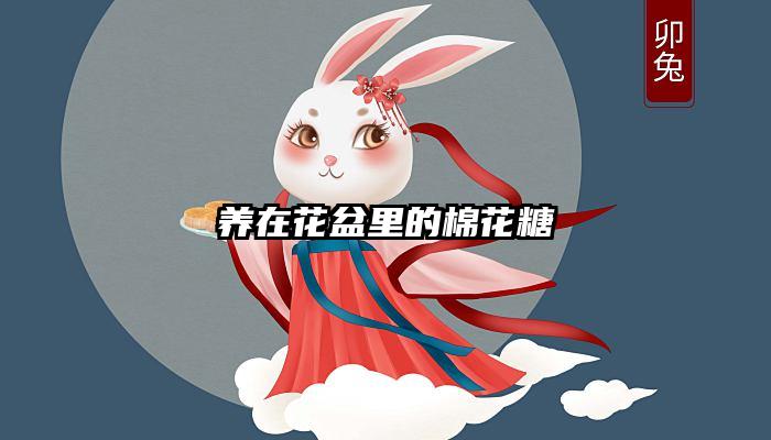 养在花盆里的棉花糖