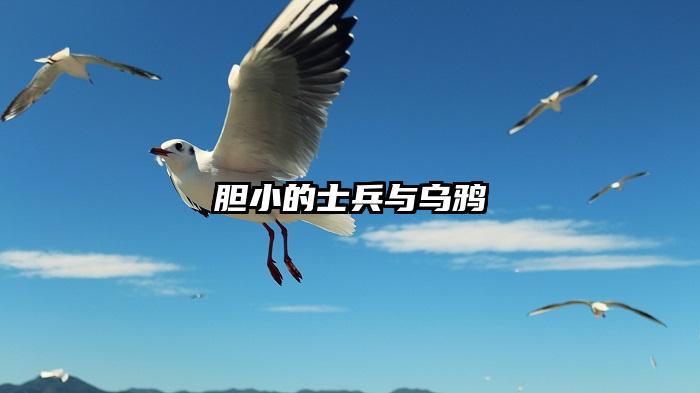 胆小的士兵与乌鸦