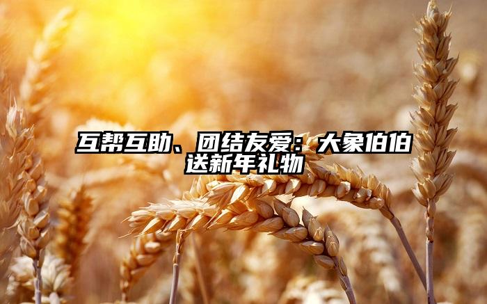 互帮互助、团结友爱：大象伯伯送新年礼物