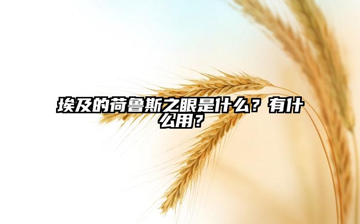 埃及的荷鲁斯之眼是什么？有什么用？