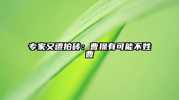 专家又遭拍砖：曹操有可能不姓曹