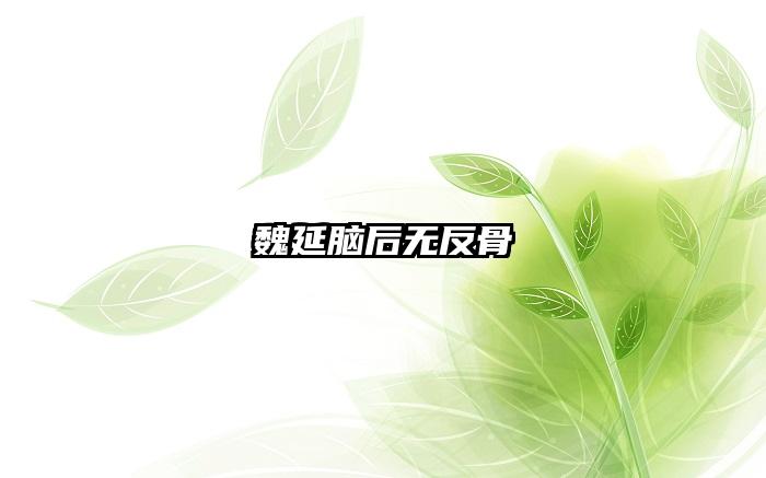 魏延脑后无反骨