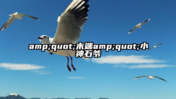 amp;quot;末端amp;quot;小神石爷