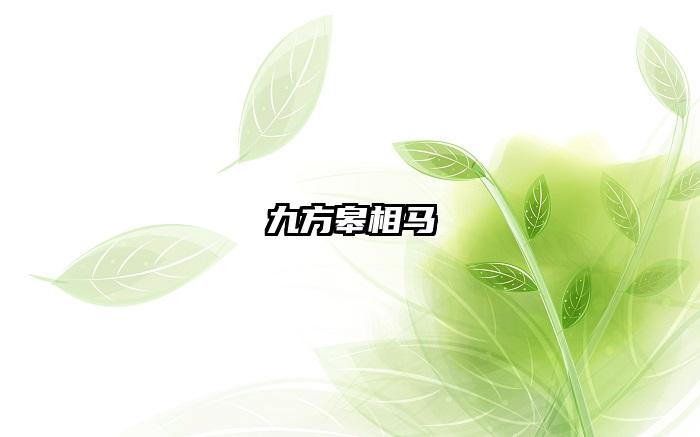 九方皋相马