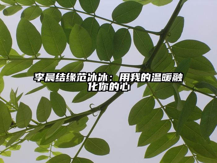 李晨结缘范冰冰：用我的温暖融化你的心