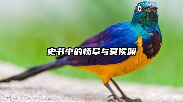 史书中的杨阜与夏侯渊