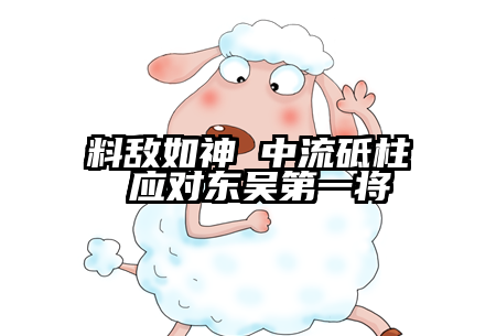 料敌如神 中流砥柱 应对东吴第一将