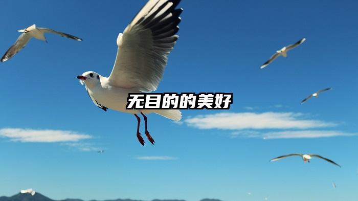 无目的的美好