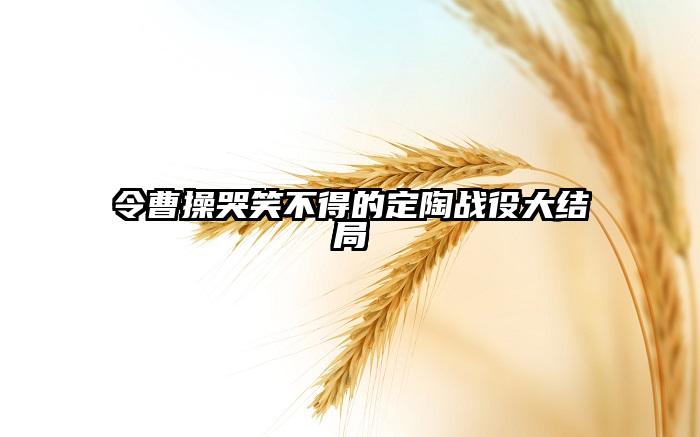 令曹操哭笑不得的定陶战役大结局