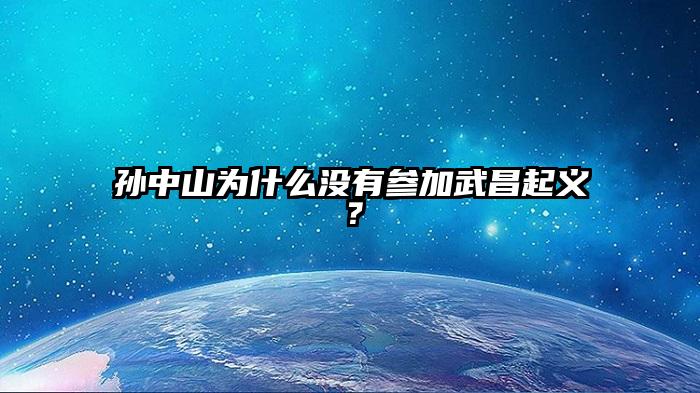 孙中山为什么没有参加武昌起义？