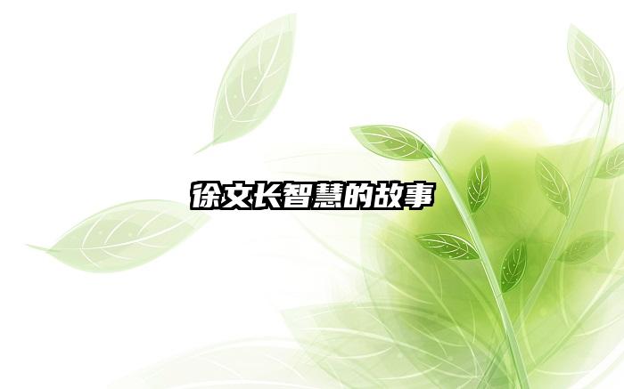 徐文长智慧的故事