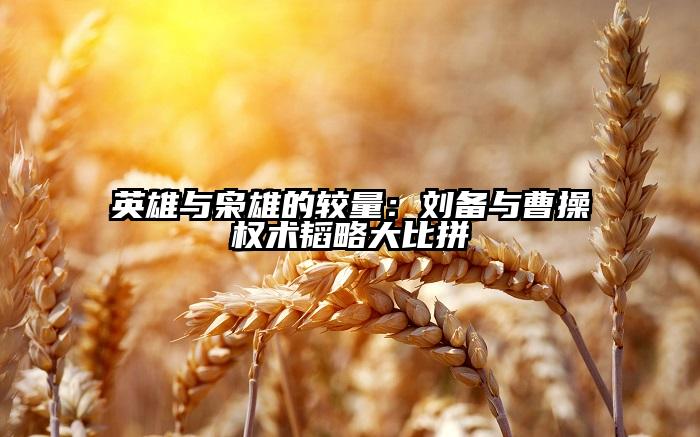 英雄与枭雄的较量：刘备与曹操权术韬略大比拼