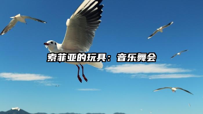 索菲亚的玩具：音乐舞会