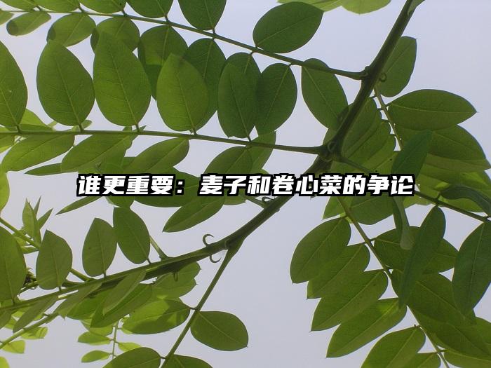 谁更重要：麦子和卷心菜的争论