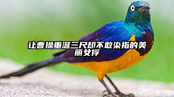 让曹操垂涎三尺却不敢染指的美丽女俘