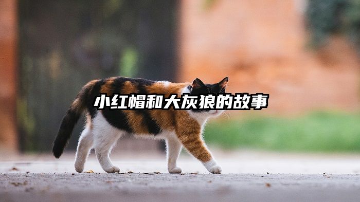 小红帽和大灰狼的故事