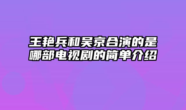 王艳兵和吴京合演的是哪部电视剧的简单介绍