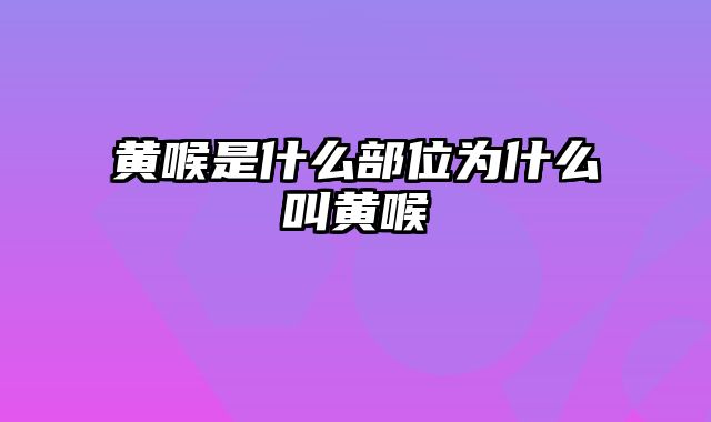 黄喉是什么部位为什么叫黄喉