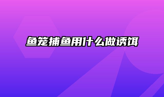 鱼笼捕鱼用什么做诱饵