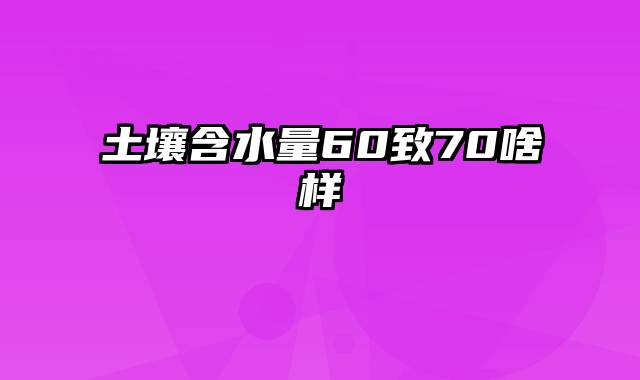 土壤含水量60致70啥样