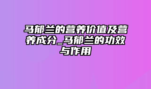 马郁兰的营养价值及营养成分_马郁兰的功效与作用