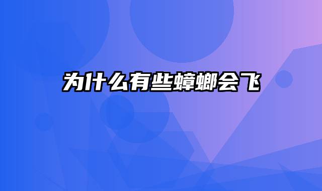 为什么有些蟑螂会飞