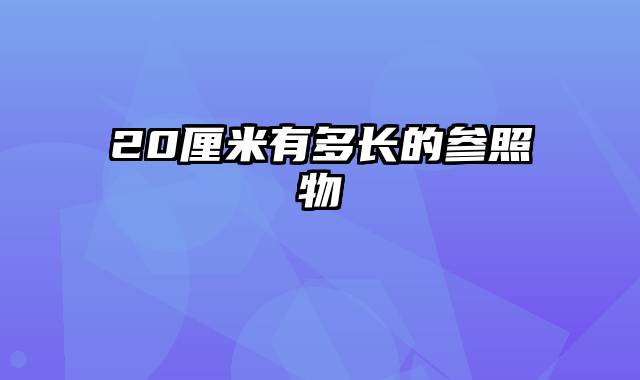 20厘米有多长的参照物