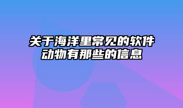 关于海洋里常见的软件动物有那些的信息