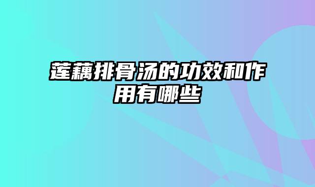 莲藕排骨汤的功效和作用有哪些