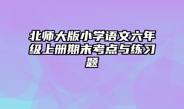 北师大版小学语文六年级上册期末考点与练习题